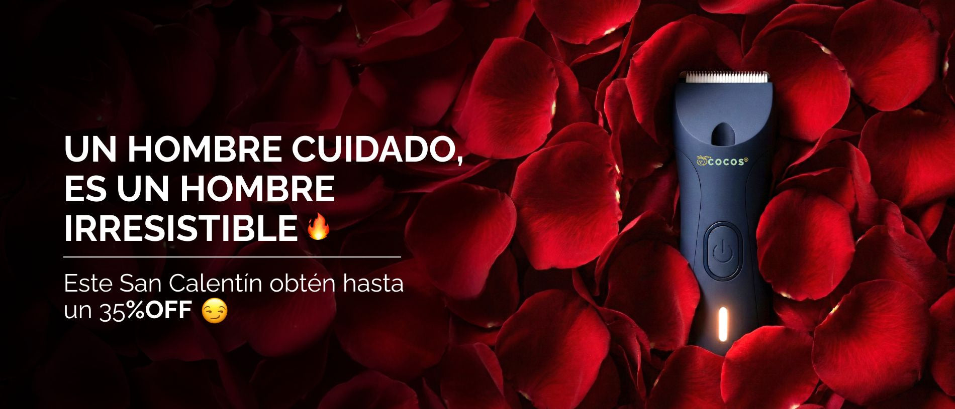 custom-slideshow-image-desktop-block_YgBWq